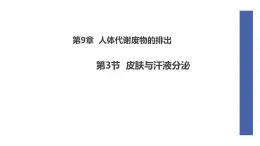 初中  生物  北師大版（2024）  七年級(jí)下冊(cè)4.9.3 皮膚與汗液分泌 課件