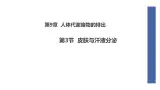 初中  生物  北師大版（2024）  七年级下册4.9.3 皮肤与汗液分泌 課件