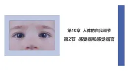 初中  生物  北師大版（2024）  七年級(jí)下冊(cè)4.10.2 感受器和感覺器官 課件