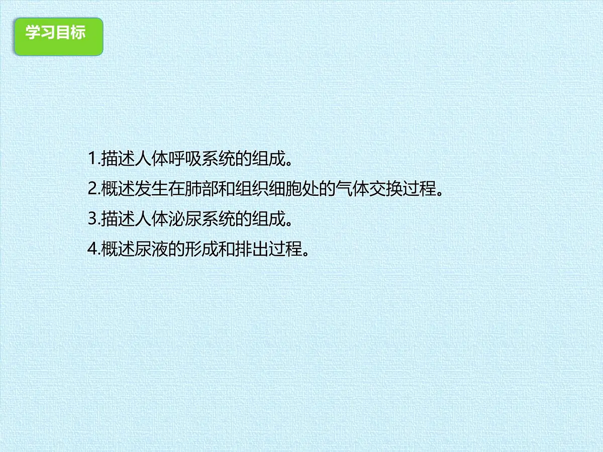 初中 生物 冀少版(2024) 七年级下册3.3-3.4期末复习课件第2页