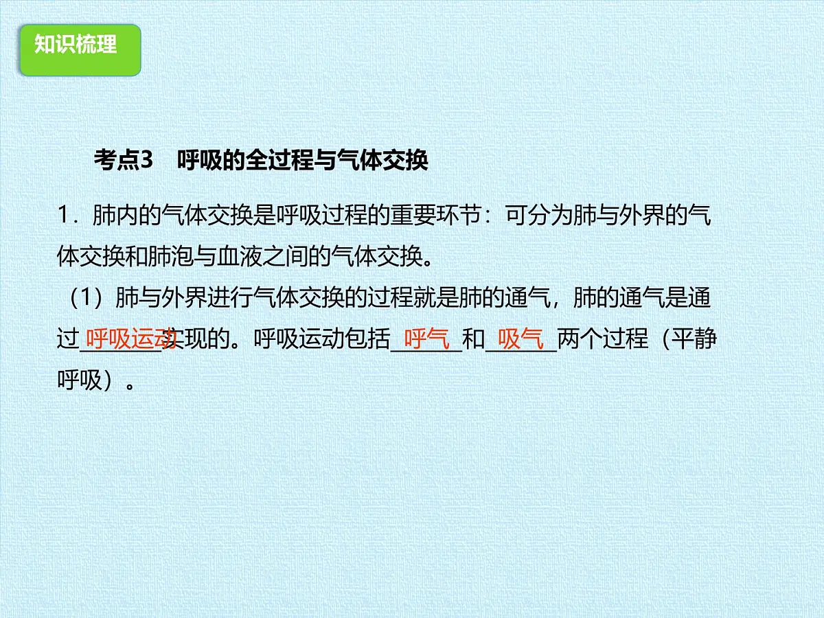 初中 生物 冀少版(2024) 七年级下册3.3-3.4期末复习课件第6页