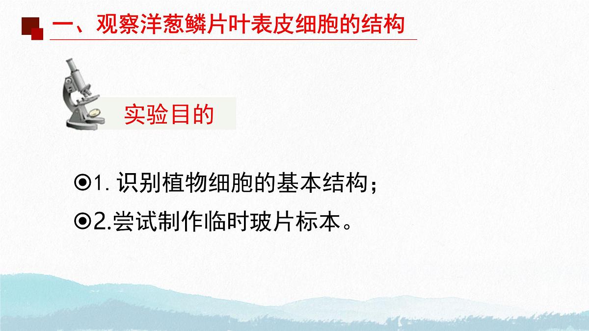 初中 生物 苏教版(2024) 七年级上册1.1.3 植物细胞的结构与功能 课件第4页