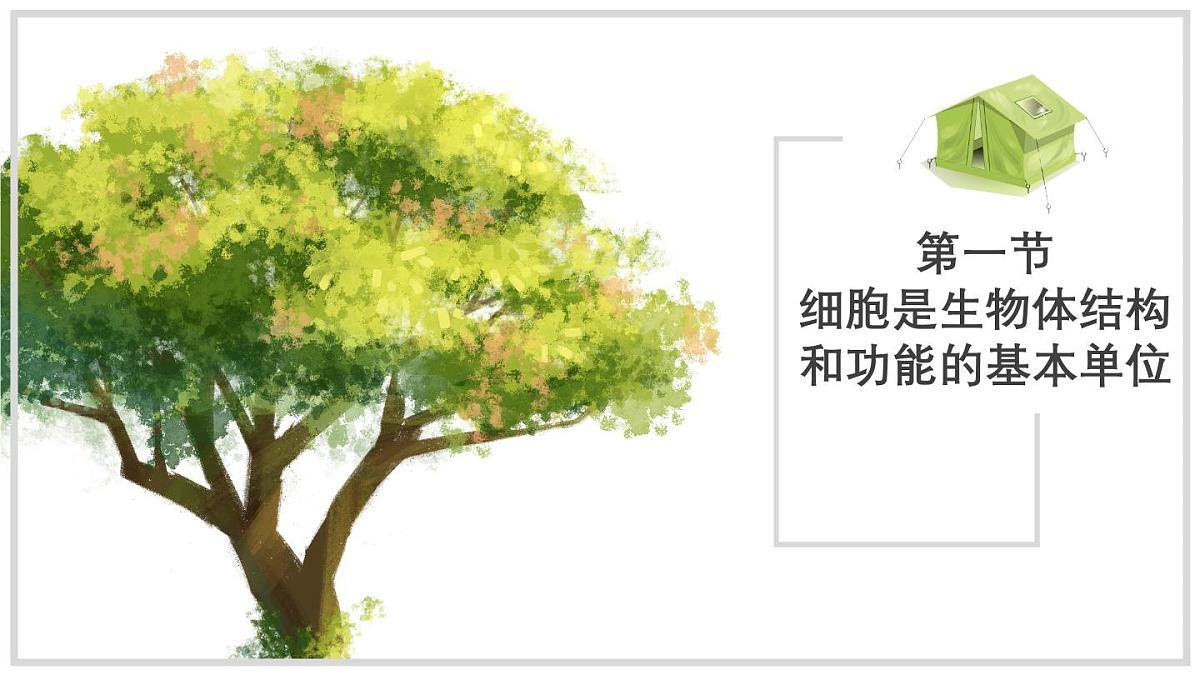 济南版生物(2024)七年级上册 1.2.1 细胞是生物体结构和功能的基本单位 课件第1页