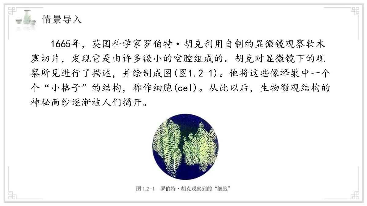 济南版生物(2024)七年级上册 1.2.1 细胞是生物体结构和功能的基本单位 课件第3页