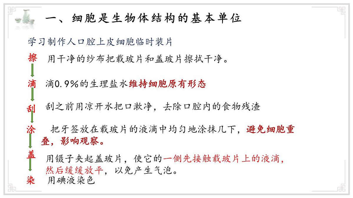 济南版生物(2024)七年级上册 1.2.1 细胞是生物体结构和功能的基本单位 课件第6页