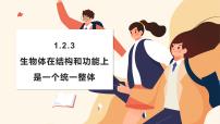 初中生物济南版(2024)七年级上册(2024)生物体在结构和功能上是一个统一整体课文内容课件ppt