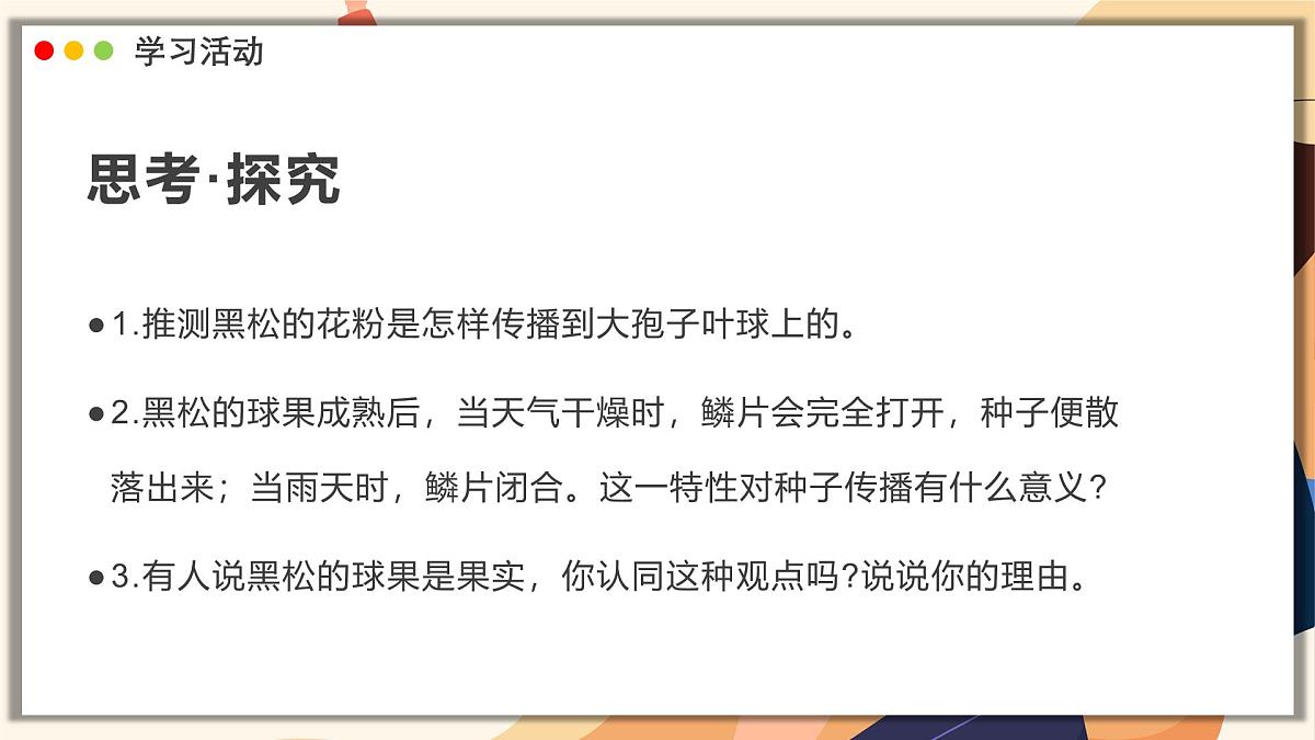 济南版生物(2024)七年级上册 2.1.2 种子植物可分为裸子植物和被子植物 课件第7页