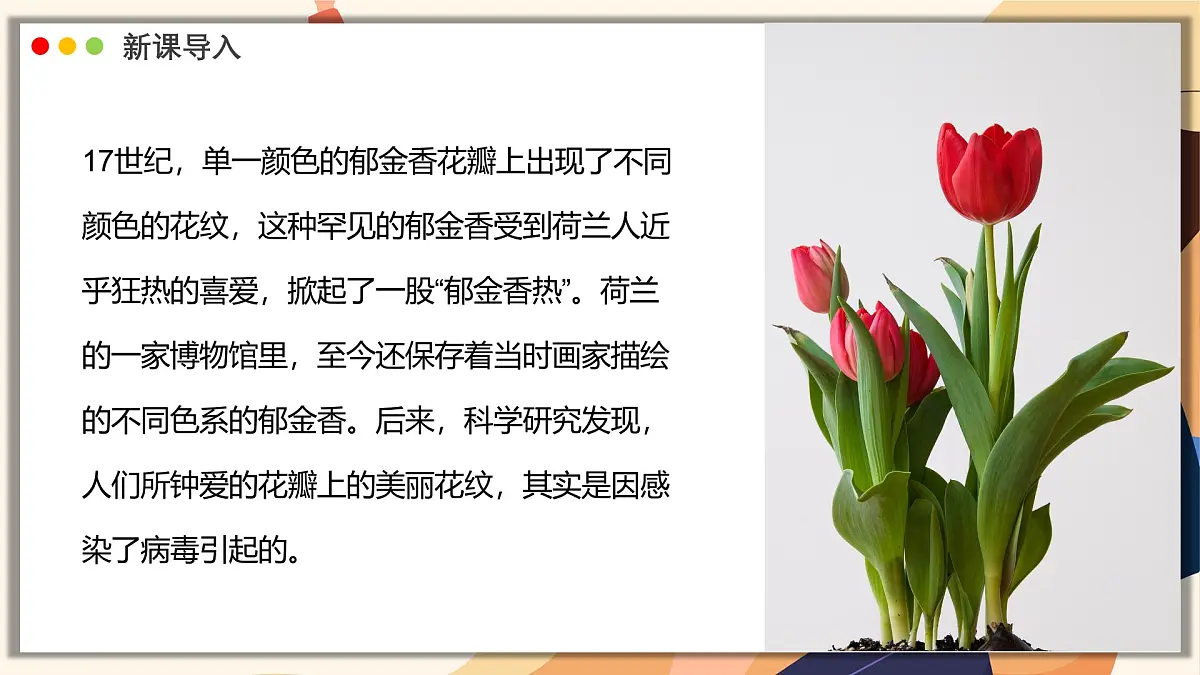 济南版生物(2024)七年级上册 2.3.1 病毒是没有细胞结构的生物 课件第3页