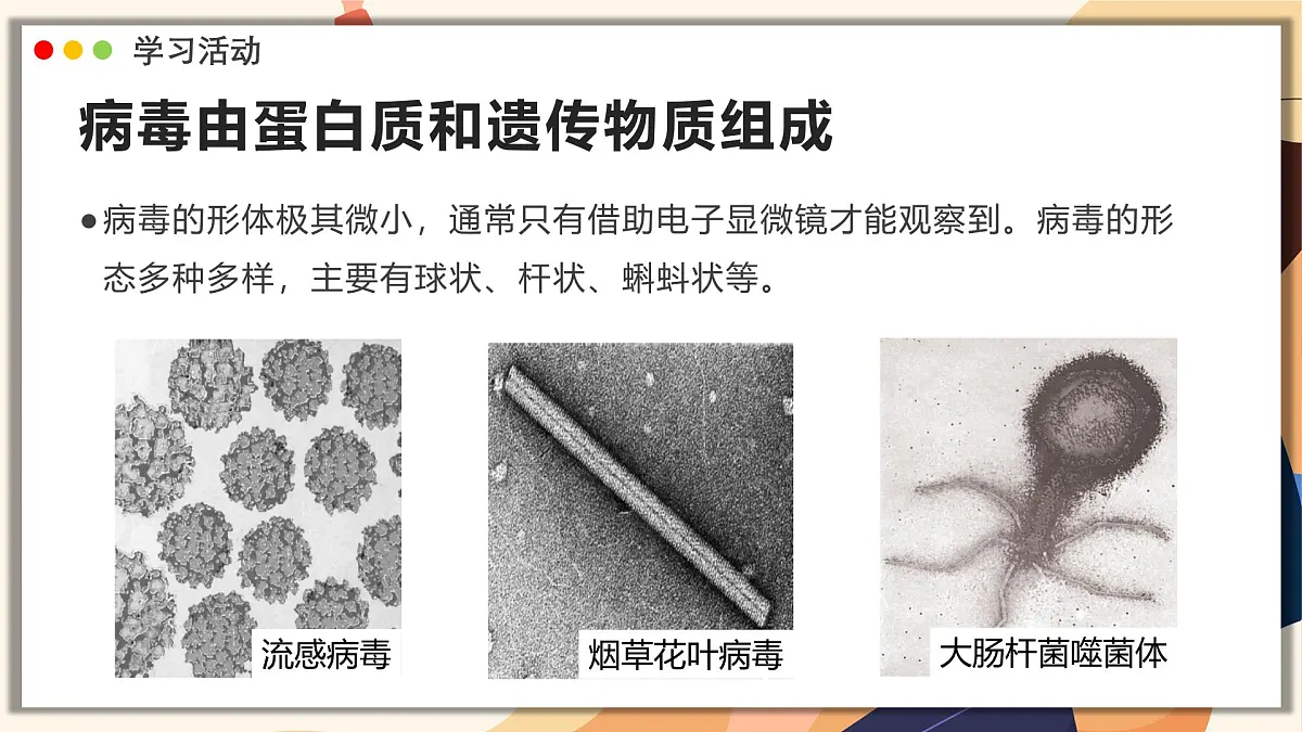 济南版生物(2024)七年级上册 2.3.1 病毒是没有细胞结构的生物 课件第4页