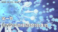 济南版(2024)七年级上册(2024)病毒是没有细胞结构的生物教案配套ppt课件