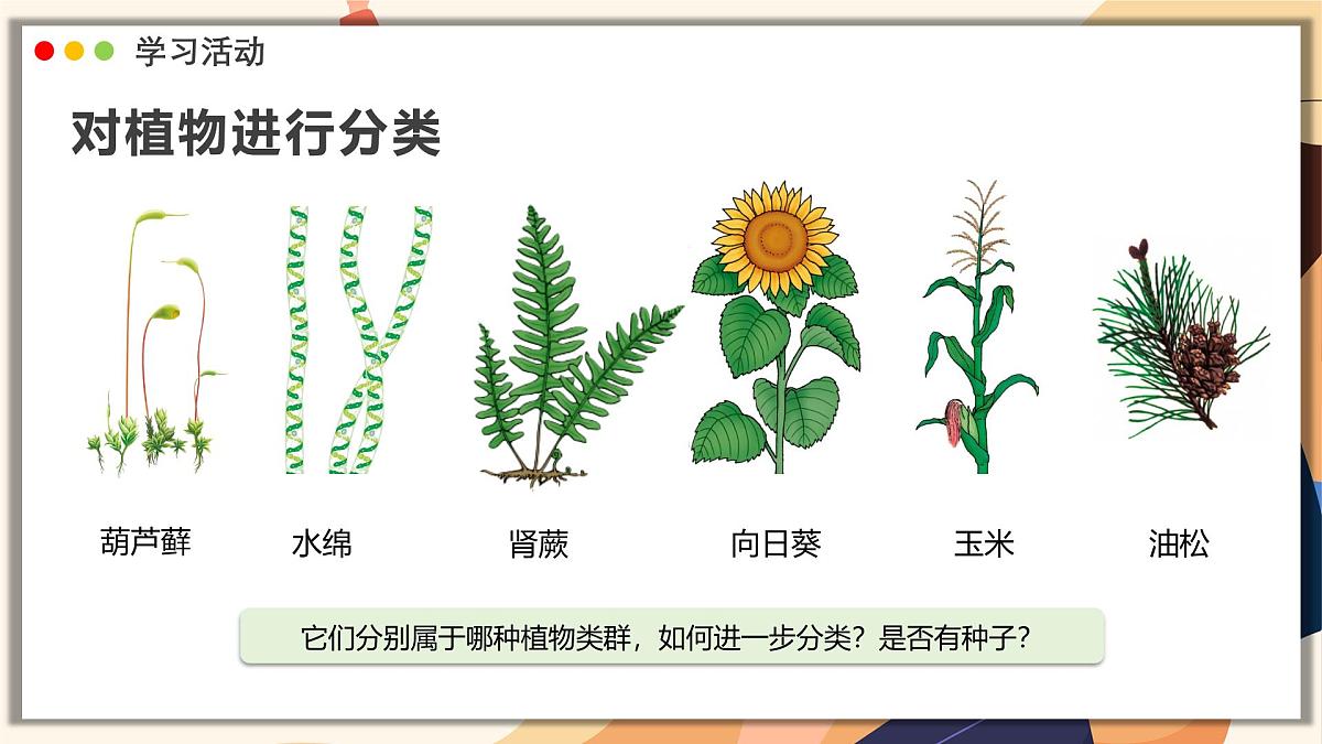 济南版生物(2024)七年级上册 2.4.1 依据生物的特征进行分类 课件第8页