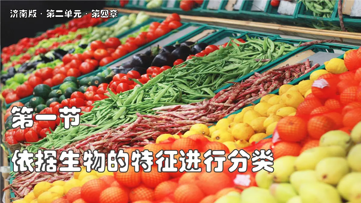 济南版生物(2024)七年级上册 2.4.1 依据生物的特征进行分类-课件第1页