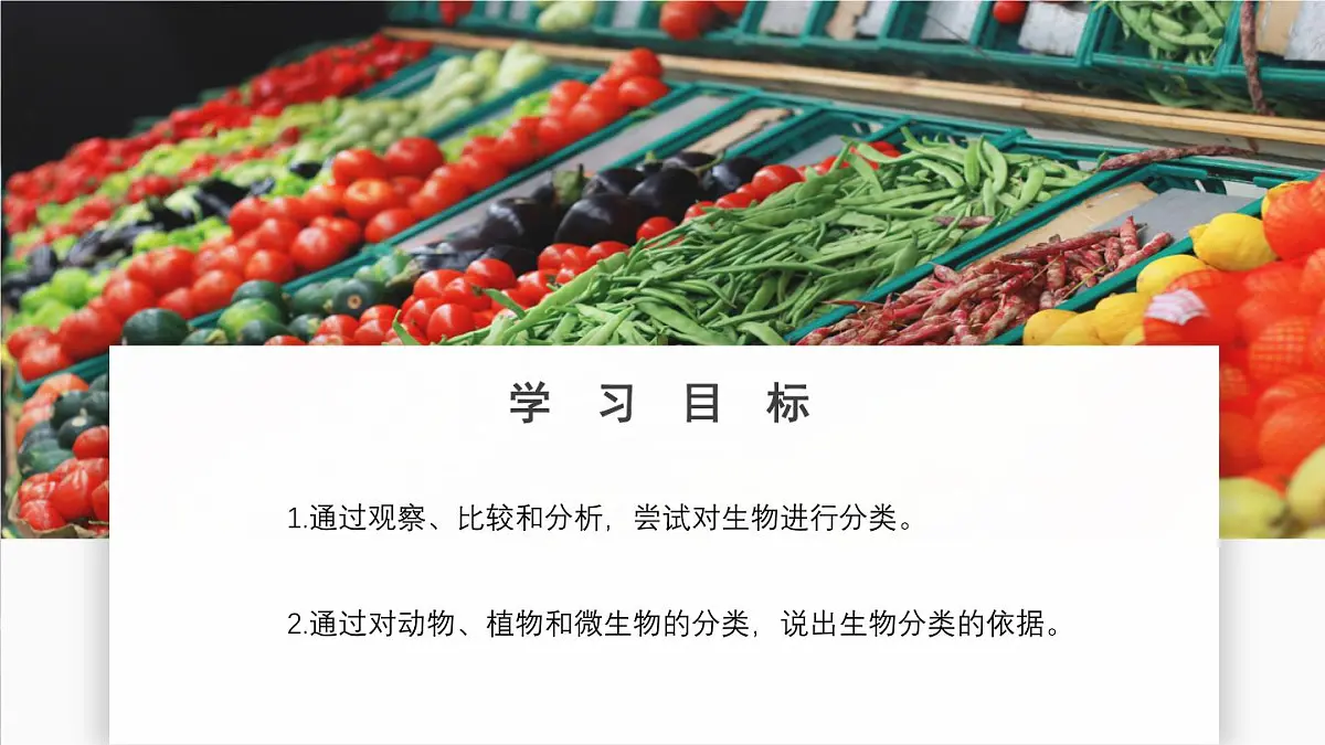 济南版生物(2024)七年级上册 2.4.1 依据生物的特征进行分类-课件第2页