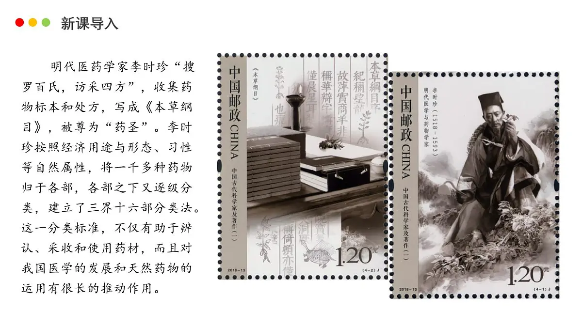 济南版生物(2024)七年级上册 2.4.1 依据生物的特征进行分类-课件第3页