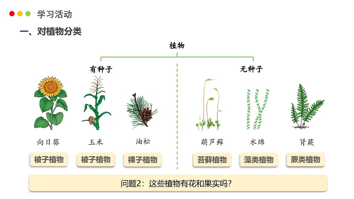济南版生物(2024)七年级上册 2.4.1 依据生物的特征进行分类-课件第8页