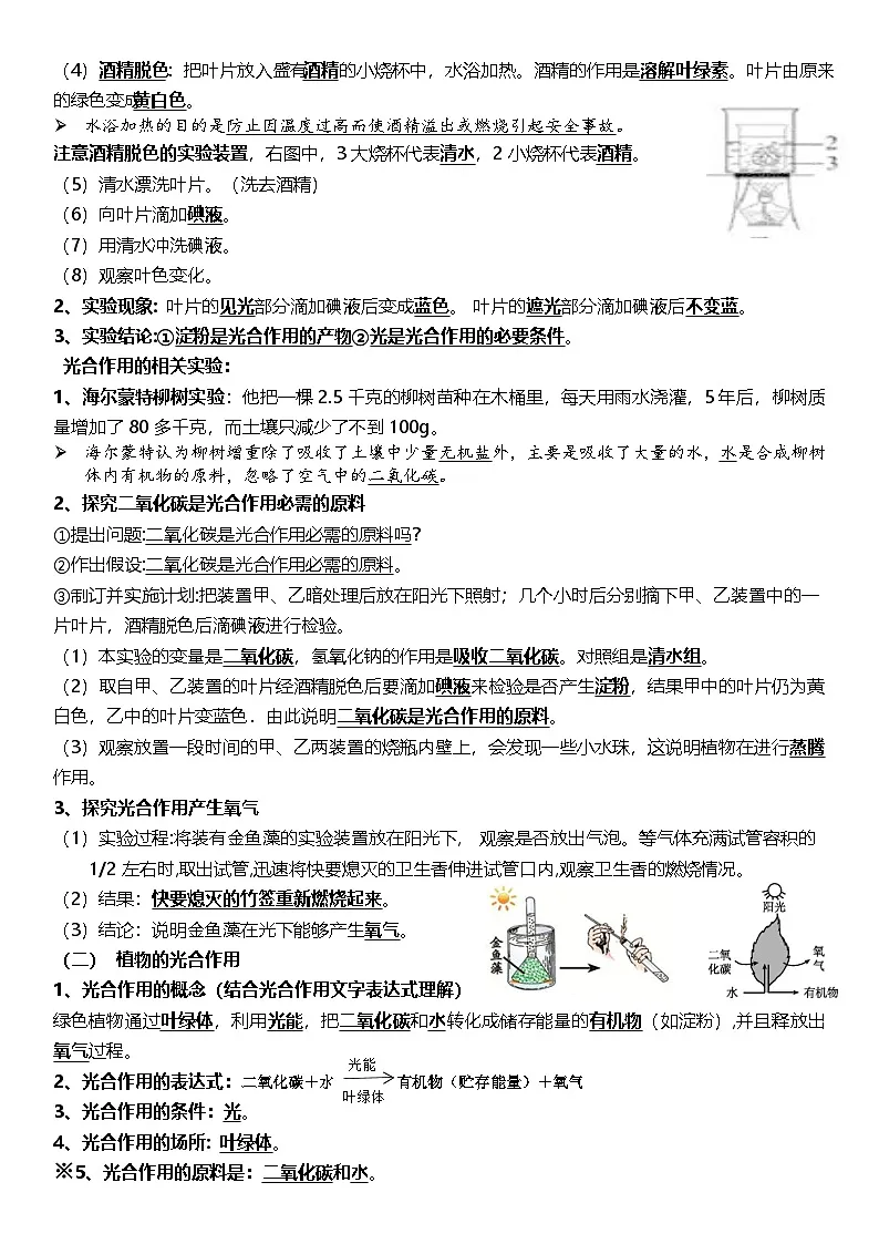 济南版(2024)七年级下册生物期末必考知识点背诵提纲 学案第3页