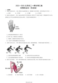 2023—2025北京初二一模[中考模拟]生物汇编：动物的运动（京改版）
