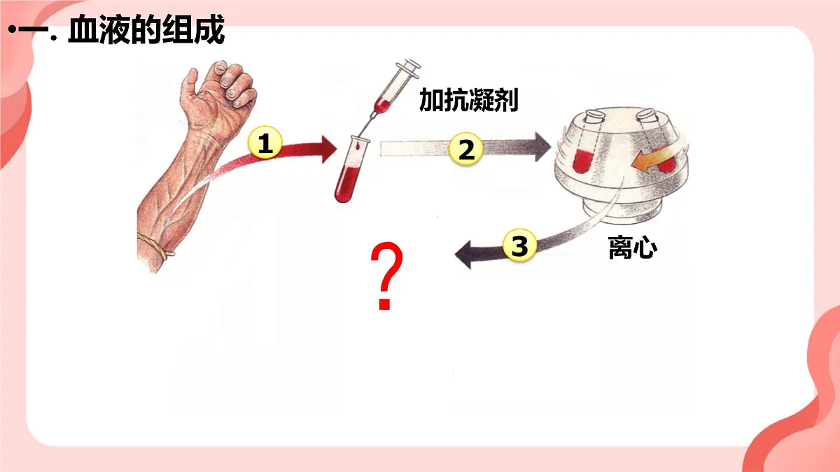 人教版初中生物七下4.4.1 流动的组织──血液课件第4页