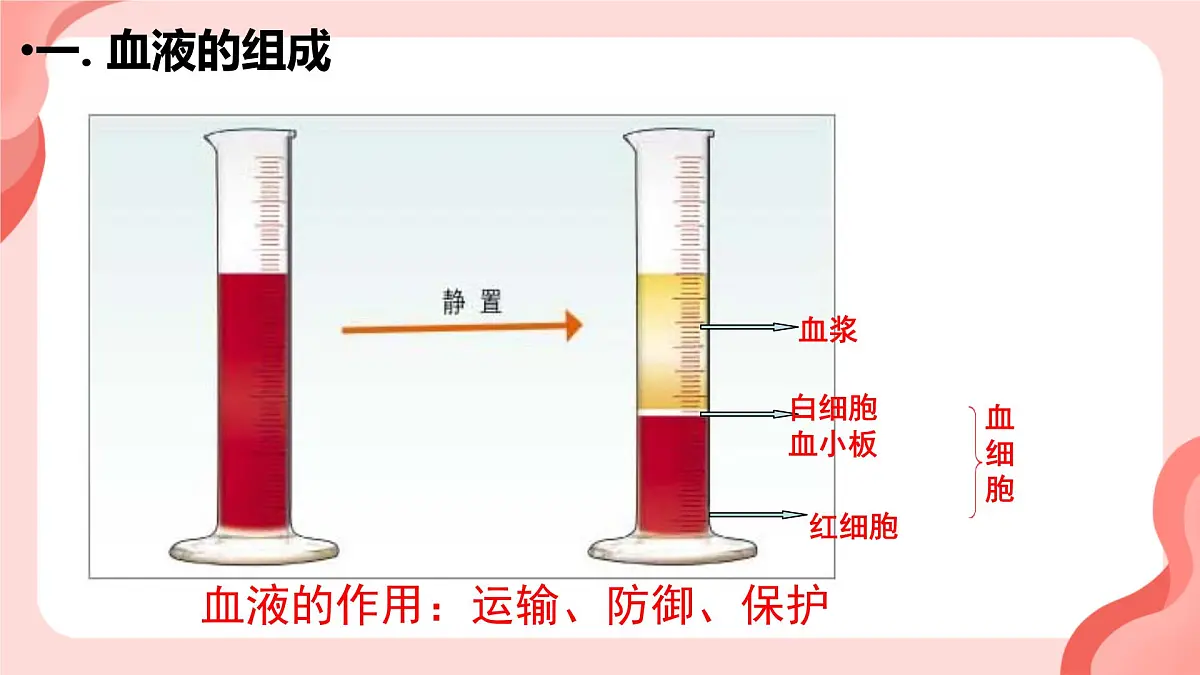 人教版初中生物七下4.4.1 流动的组织──血液课件第5页
