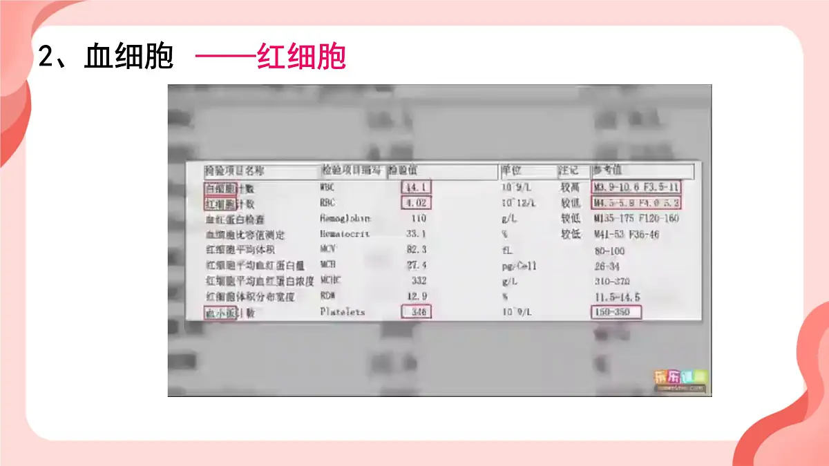 人教版初中生物七下4.4.1 流动的组织──血液课件第7页