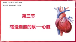 初中生物學人教版（2024）七年級下冊4.4.3輸送血液的泵──心臟課件