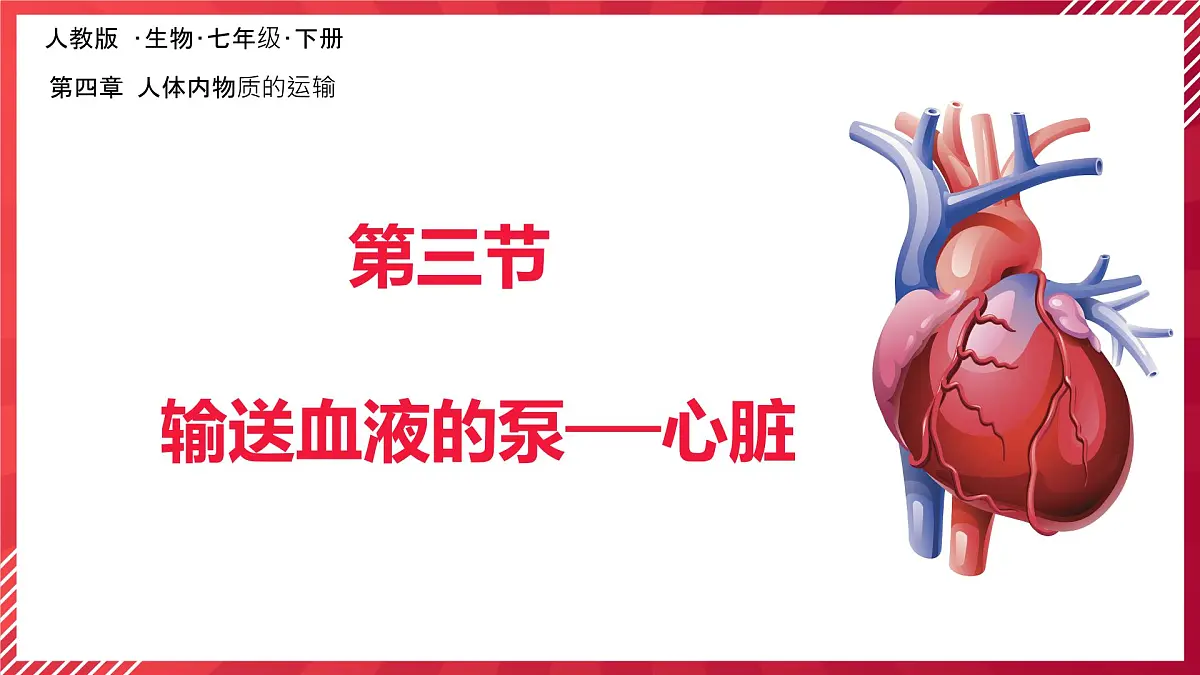 初中生物学人教版(2024)七年级下册4.4.3输送血液的泵──心脏课件第1页