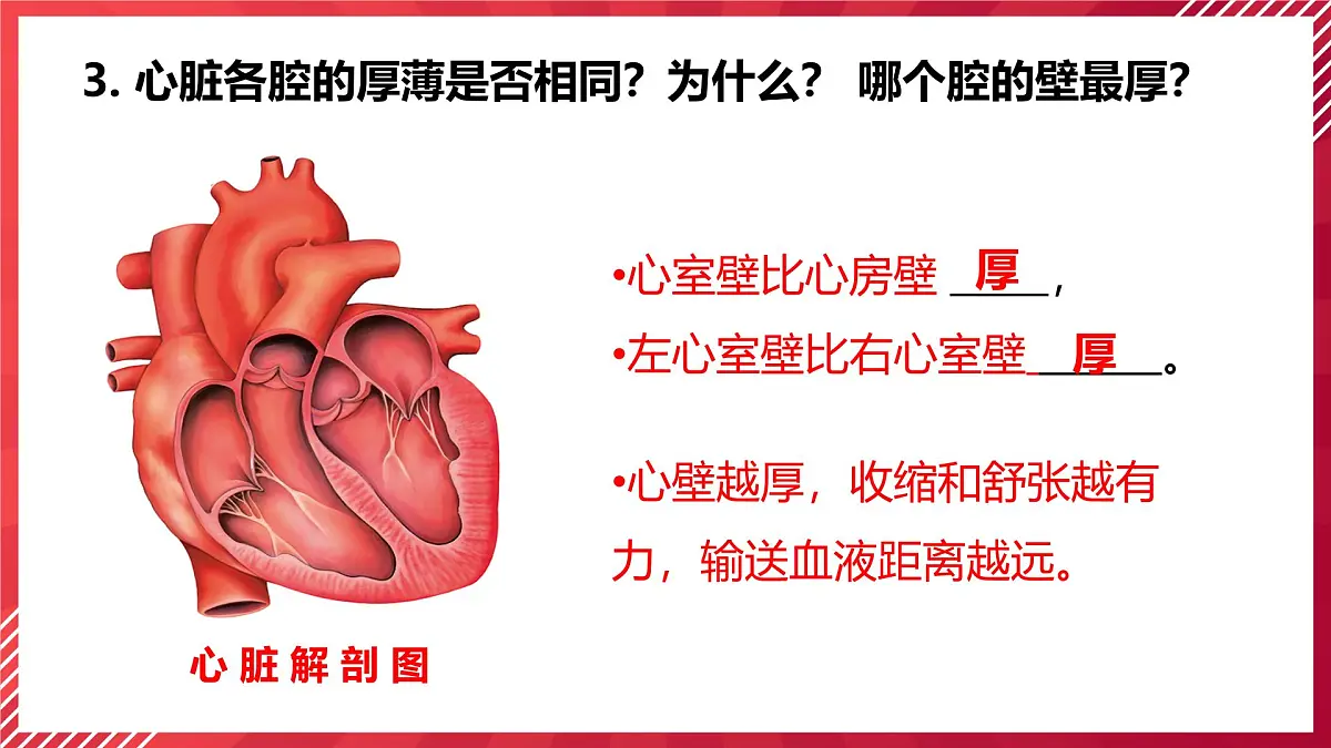 初中生物学人教版(2024)七年级下册4.4.3输送血液的泵──心脏课件第6页