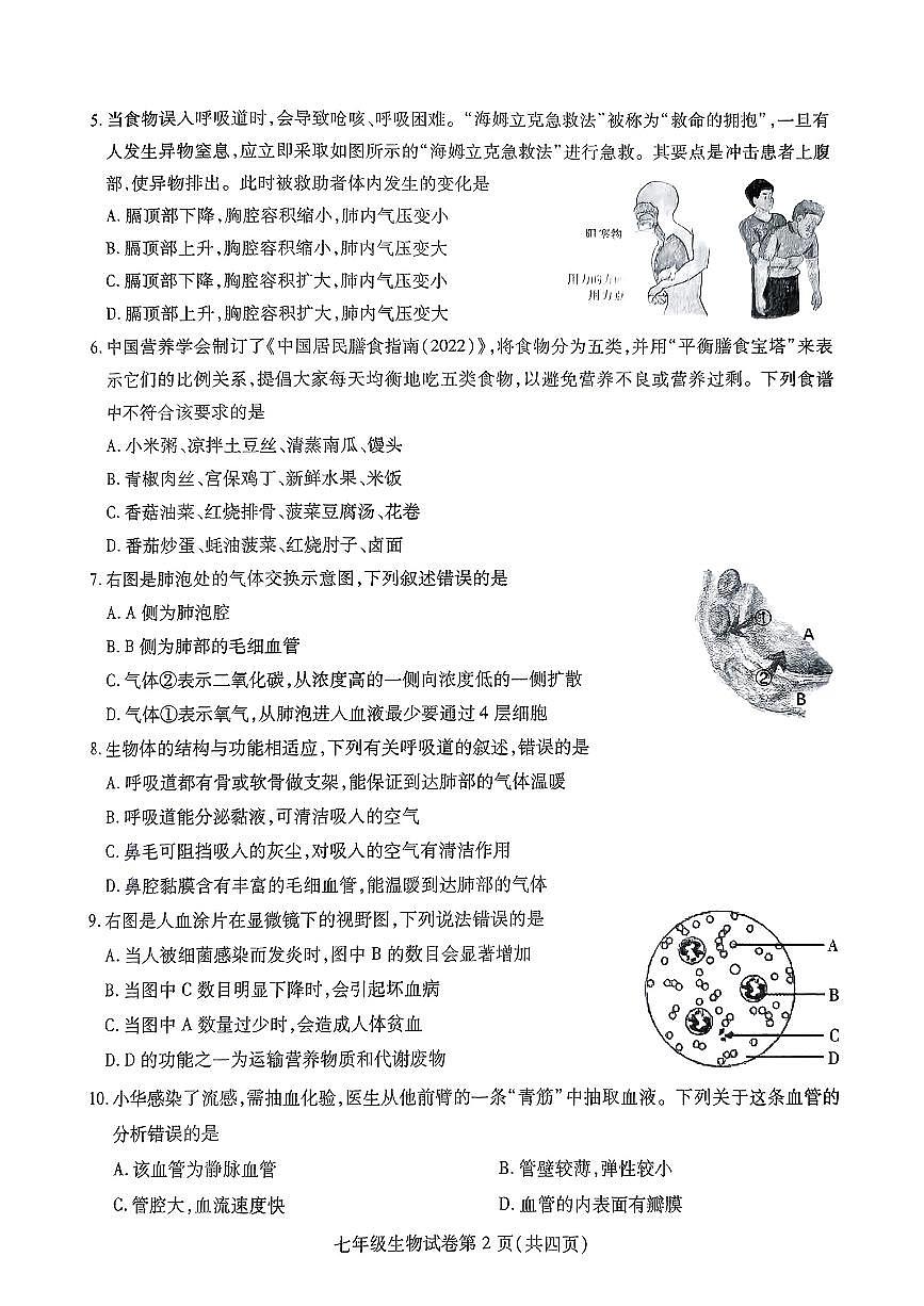安徽省六安市霍邱县2024-2025学年七年级下生物期末试卷第2页