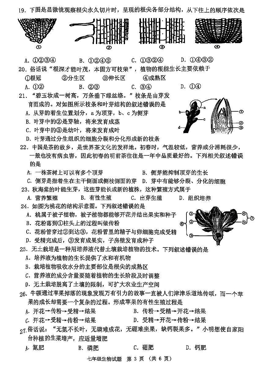 江苏省宿迁市泗洪县2024-2025学年七年级下生物期末试卷第3页