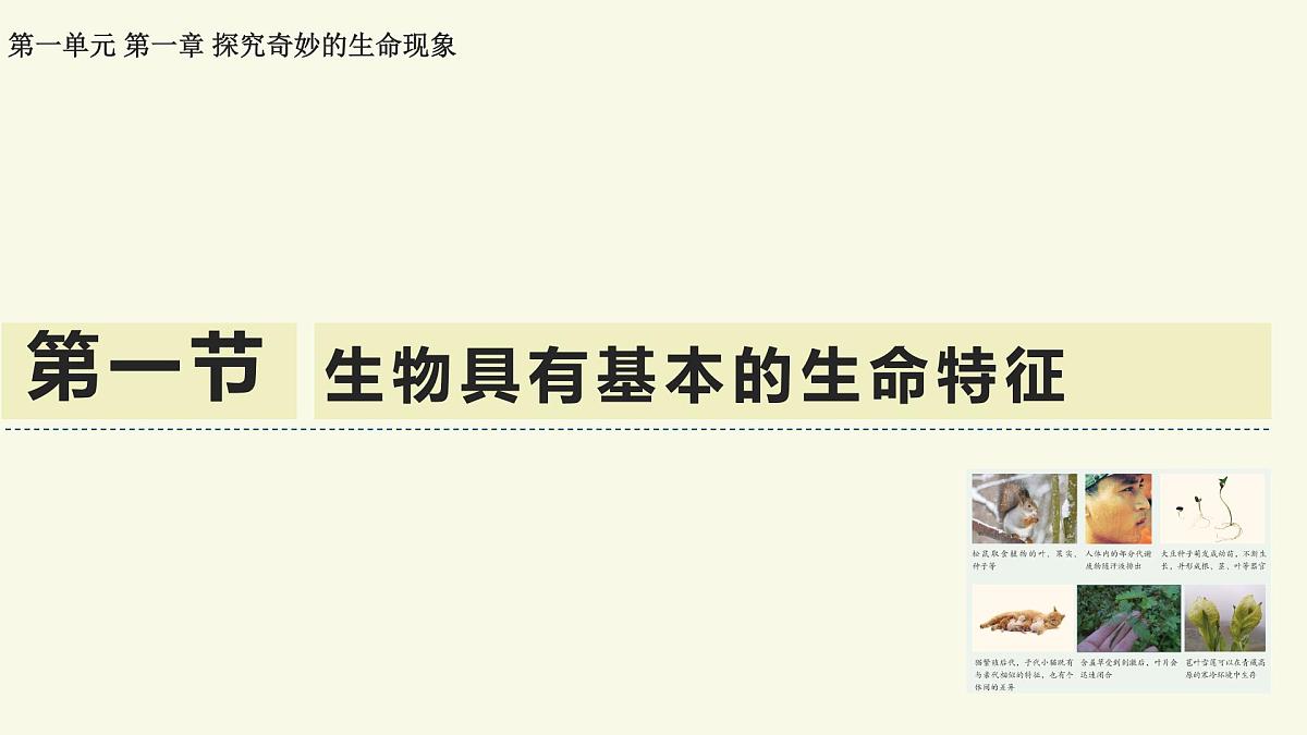 1.1.1生物具有基本的生命特征——初中生物学济南版(2024)七年级上册教学课件第1页