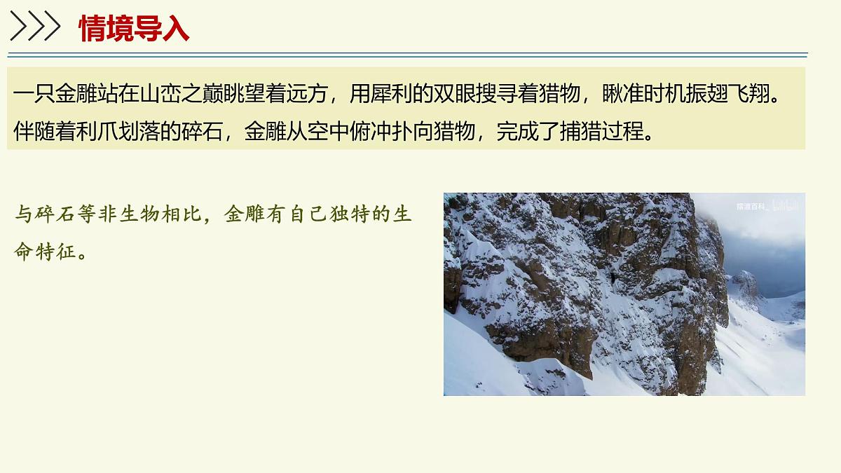 1.1.1生物具有基本的生命特征——初中生物学济南版(2024)七年级上册教学课件第3页