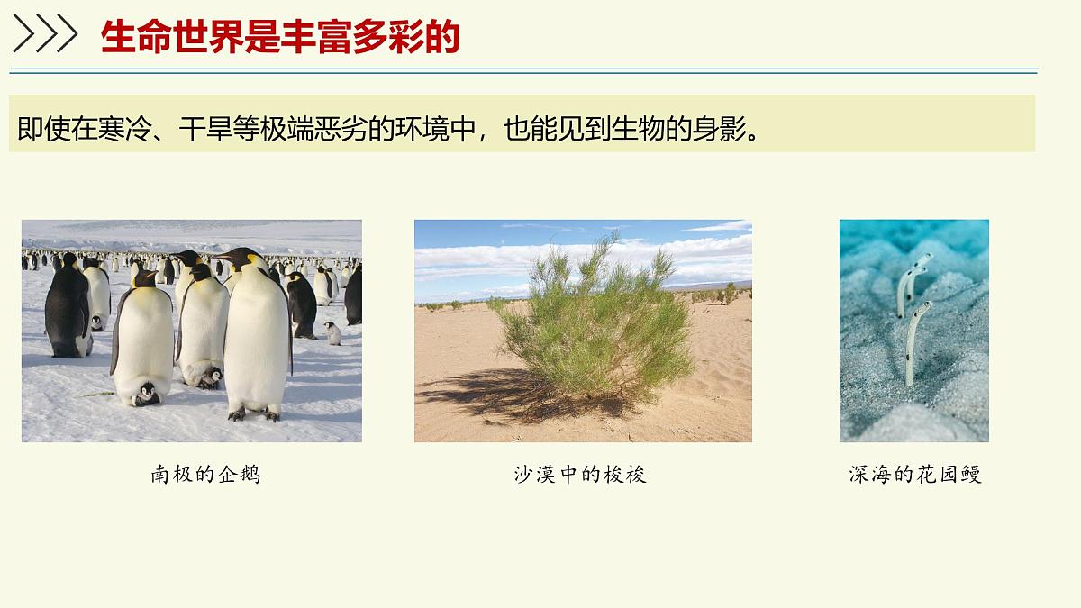 1.1.1生物具有基本的生命特征——初中生物学济南版(2024)七年级上册教学课件第5页