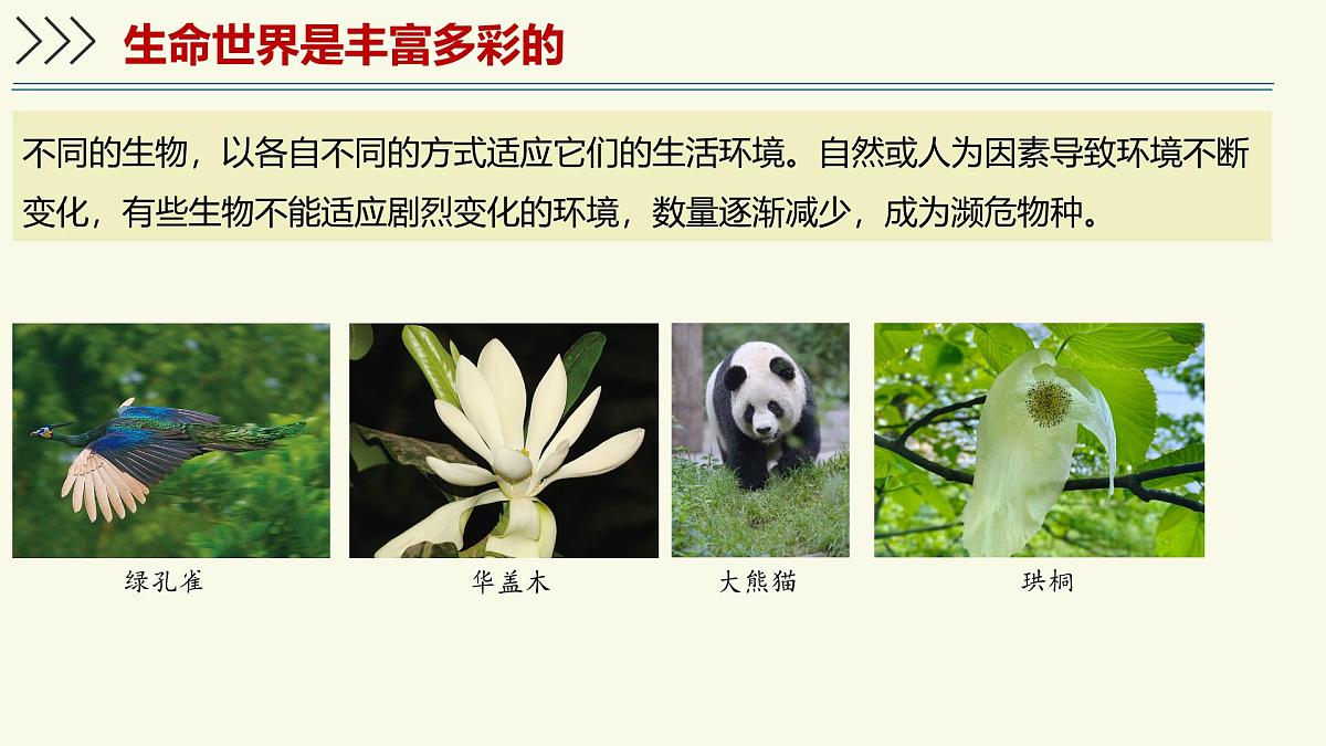 1.1.1生物具有基本的生命特征——初中生物学济南版(2024)七年级上册教学课件第6页