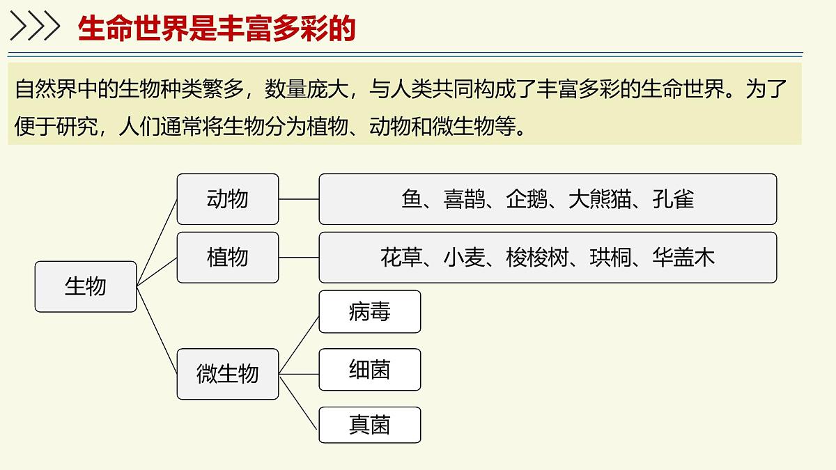1.1.1生物具有基本的生命特征——初中生物学济南版(2024)七年级上册教学课件第7页