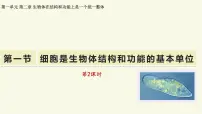 初中生物细胞是生物体结构和功能的基本单位教学课件ppt