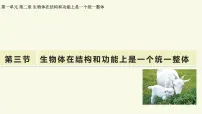 济南版（2024）七年级上册（2024）生物体在结构和功能上是一个统一整体教学ppt课件