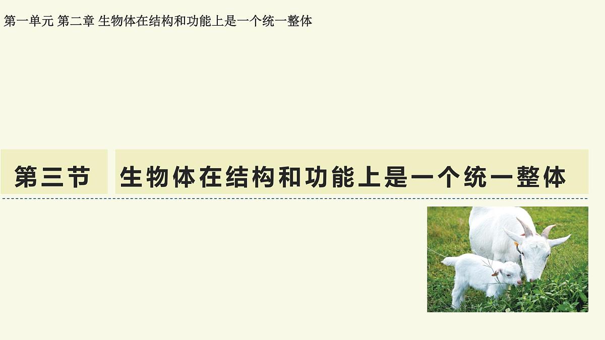 1.2.3生物体在结构和功能上是一个统一整体(教学课件)——初中生物学济南版(2024)七年级上册第1页