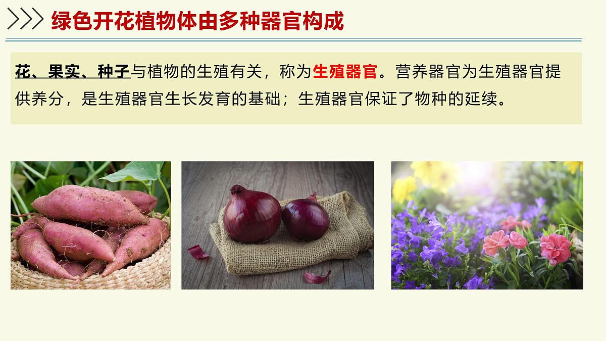 1.2.3生物体在结构和功能上是一个统一整体(教学课件)——初中生物学济南版(2024)七年级上册第8页
