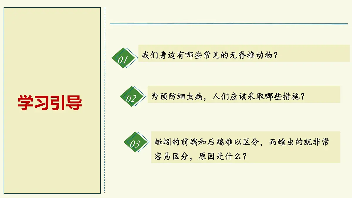 2.2.1无脊椎动物体内没有脊柱-第1课时(教学课件)——初中生物学济南版(2024)七年级上册课件第2页