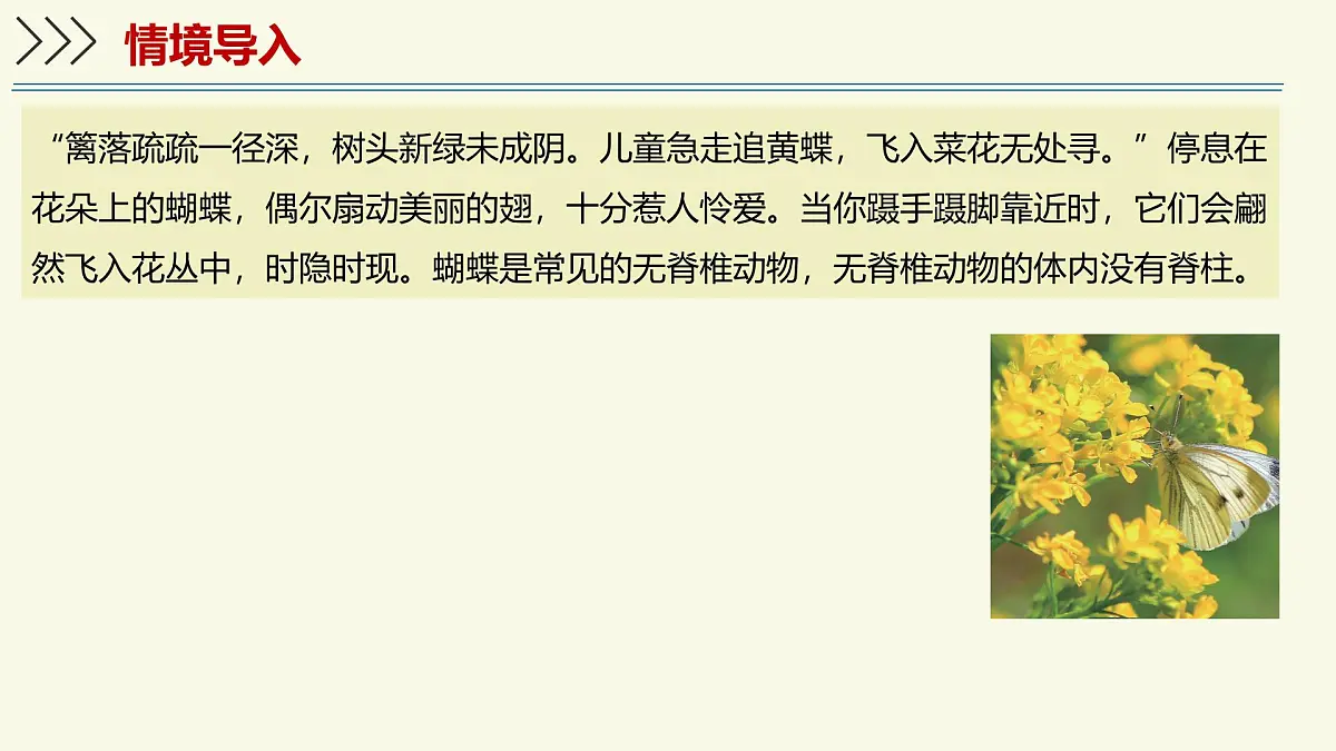 2.2.1无脊椎动物体内没有脊柱-第1课时(教学课件)——初中生物学济南版(2024)七年级上册课件第3页