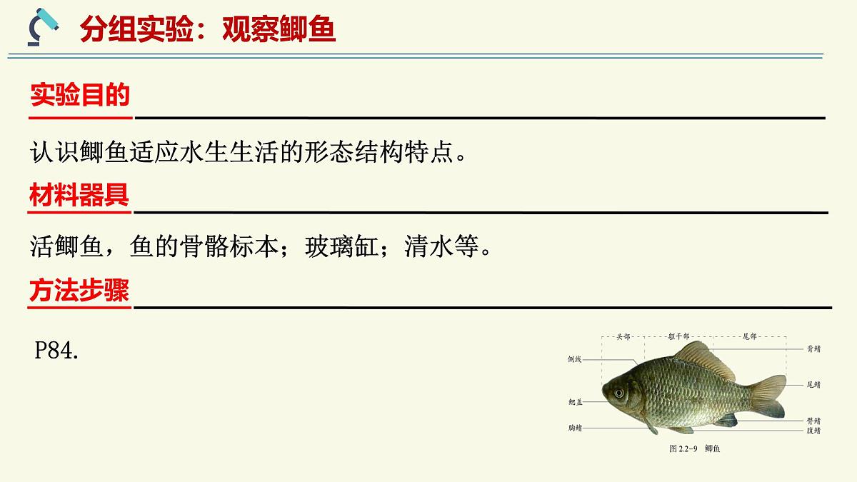 2.2.2脊椎动物身体背部有脊柱-第1课时(教学课件)——初中生物学济南版(2024)七年级上册课件第5页