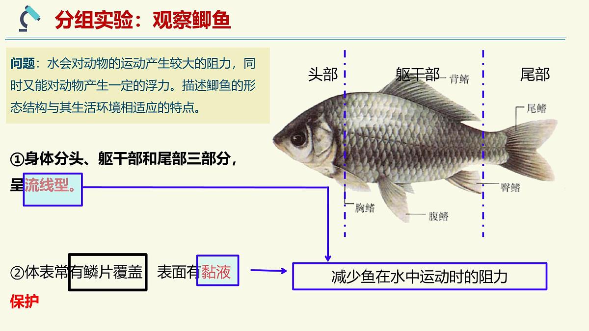 2.2.2脊椎动物身体背部有脊柱-第1课时(教学课件)——初中生物学济南版(2024)七年级上册课件第8页