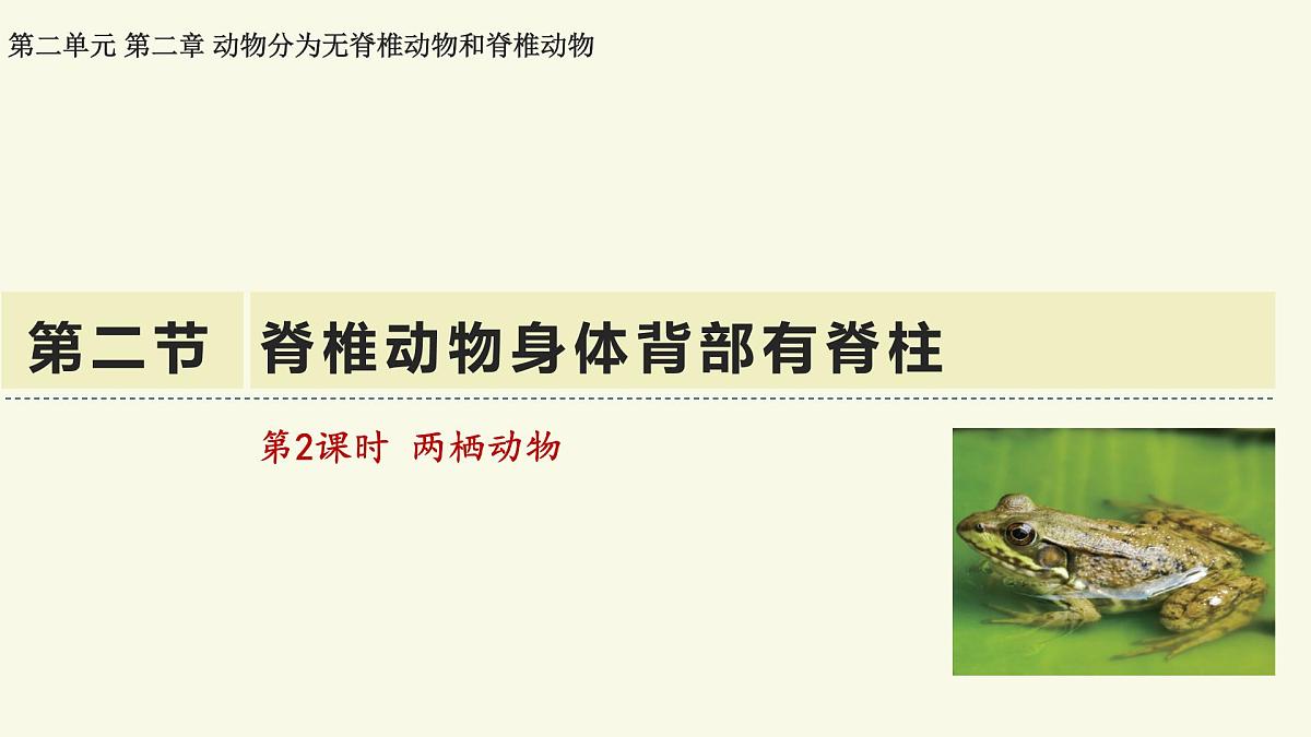 2.2.2脊椎动物身体背部有脊柱-第2课时(教学课件)——初中生物学济南版(2024)七年级上册第1页