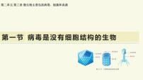 初中生物济南版（2024）七年级上册（2024）病毒是没有细胞结构的生物教学课件ppt