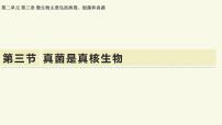 济南版（2024）七年级上册（2024）真菌是真核生物教课ppt课件