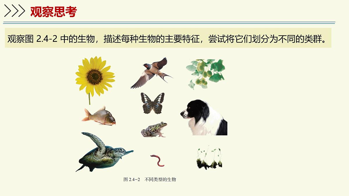 2.4.1依据生物的特征进行分类(教学课件)——初中生物学济南版(2024)七年级上册第5页