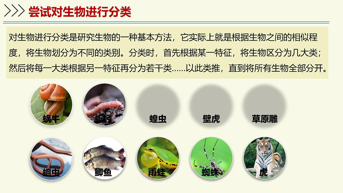 2.4.1依据生物的特征进行分类(教学课件)——初中生物学济南版(2024)七年级上册第7页
