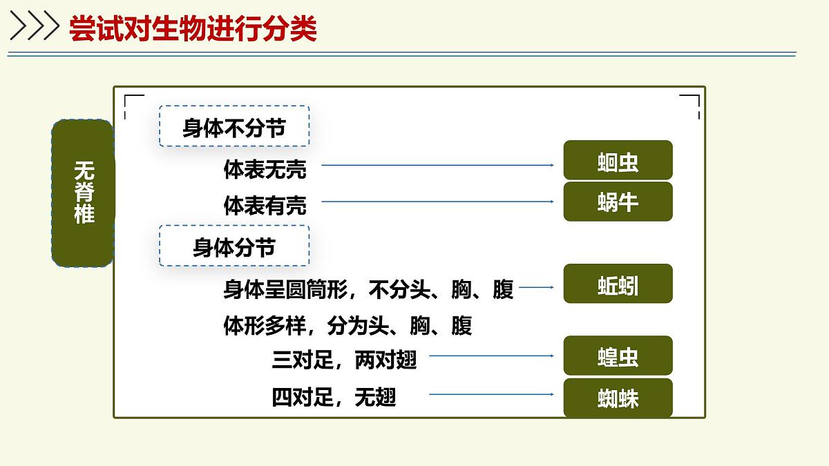 2.4.1依据生物的特征进行分类(教学课件)——初中生物学济南版(2024)七年级上册第8页