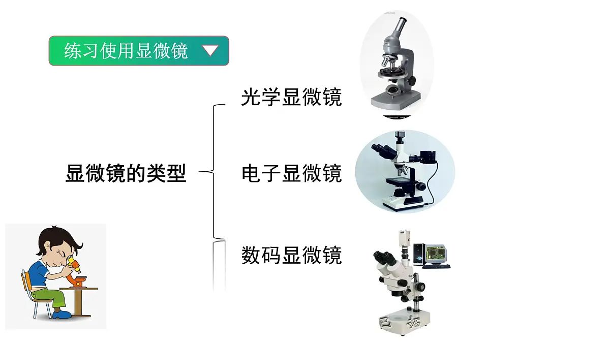 1.2.1 细胞 第1课时 显微镜的使用(教学课件)-2025-2026学年七年级生物上册(北京版2024)第7页