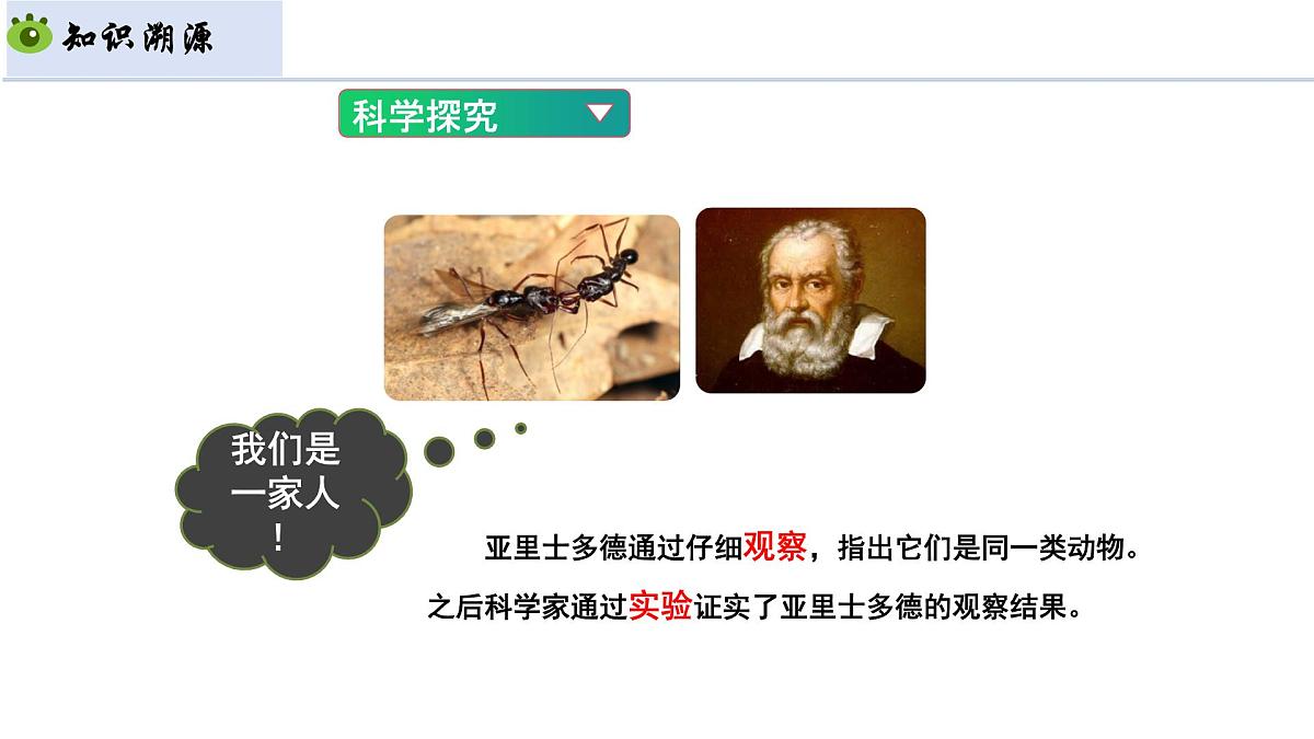 1.1.2 生物学的研究方法 第2课时 科学探究(教学课件)-2025-2026学年七年级生物上册(北京版2024)第5页